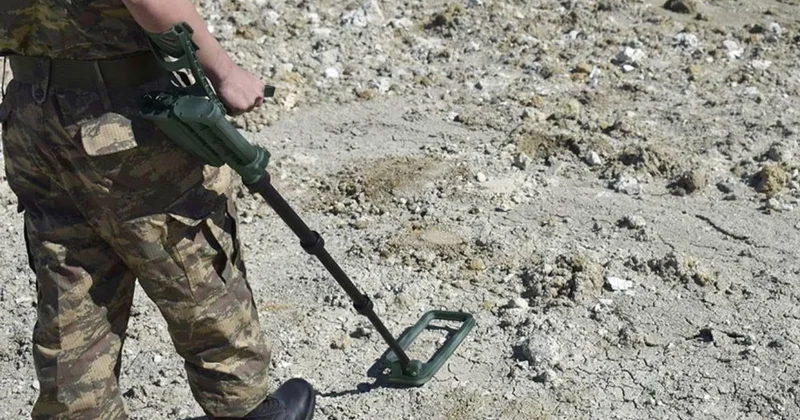 Ukrayna, NATO dan mayın temizleme konusunda destek istedi