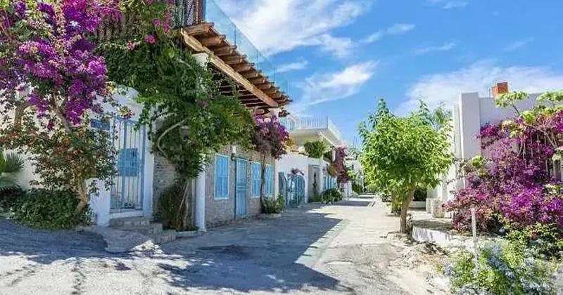 Türkiye nin en huzurlu şehirleri! Ortalama yaşam en uzun bu illerde