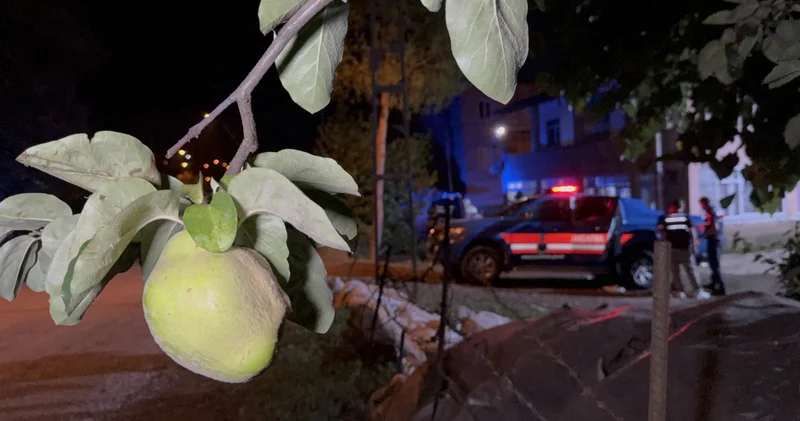 SON DAKİKA HABERİ: Samsun da ayva ağacını kesen amcasını tabancayla öldürdü Son dakika Samsun haberi Son dakika haberleri