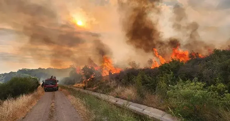 Çanakkale de 3 gün süreyle biçerdöver ve balya makinesi kullanımı yasaklandı