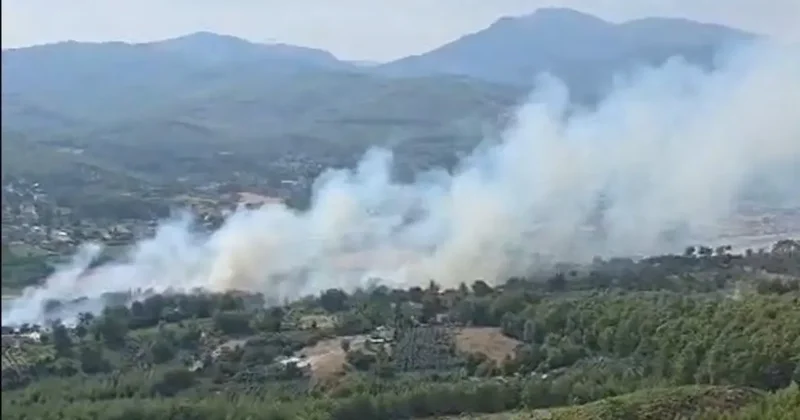 Seydikemer’de orman yangını