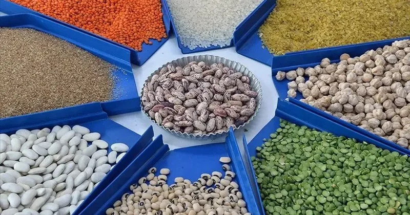 Gıda ithalatında yeni karar! Bakanlık yetkili iller listesine bir ili daha ekledi