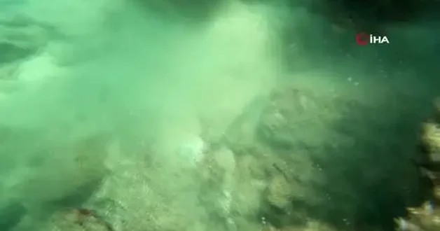 Tatilcilerin denizde kaybettikleri, dalış yapan gencin ganimeti oluyor: 3 bin dolarlık saat bile buldu