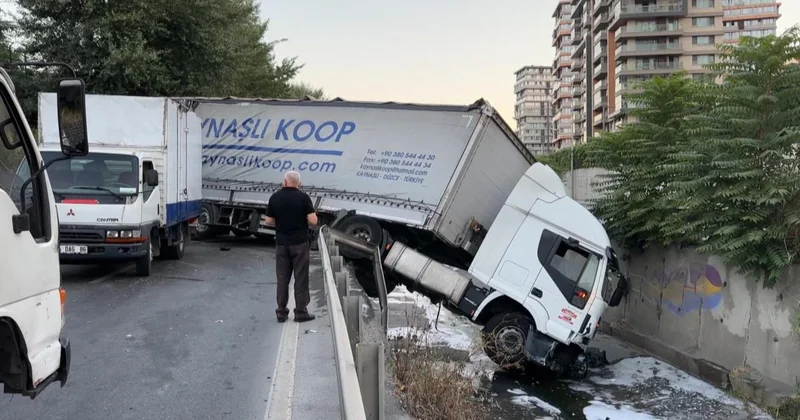 Halı yüklü tır dereye devrildi
