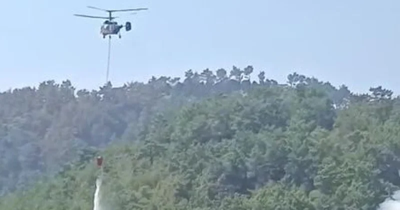 Son dakika orman yangını: Adana Kozan da yeniden yangın Adana son dakika haberleri Son dakika haberleri
