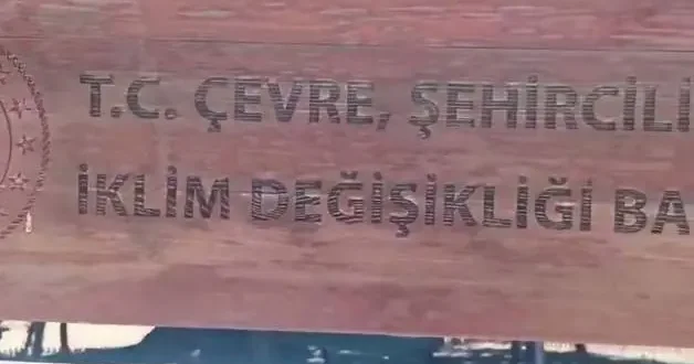 Konya da 2 bin yıllık anıt ağaca büyük saygısızlık!