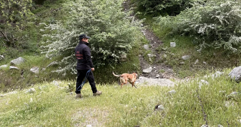 Sivas Divriği’de 11 aylık Büşra için ekipler seferber oldu