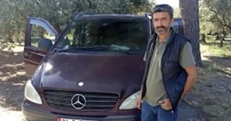 Zeytin toplarken arı soktu, can verdi! Son dakika haberleri