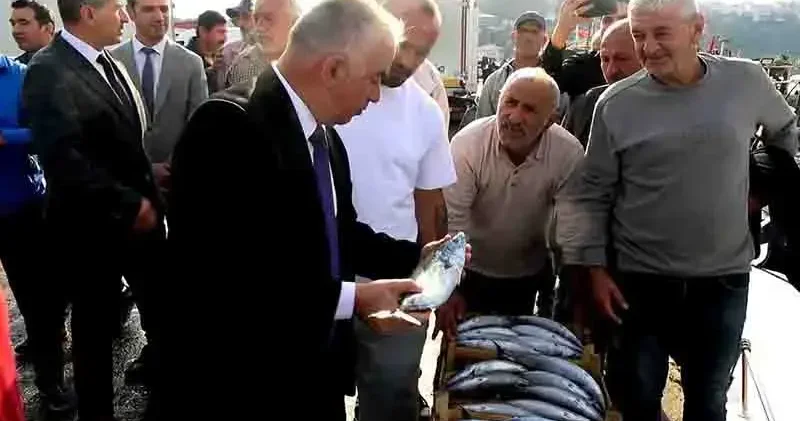 Şile’de palamut bolluğu; kasası 600 liradan satıldı