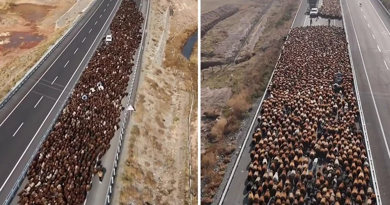 Görüntü Türkiye den! Binlercesi aynı anda yola çıktı