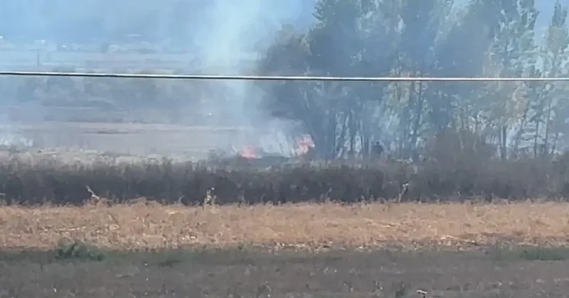 Tavşanlı’da arazi yangını