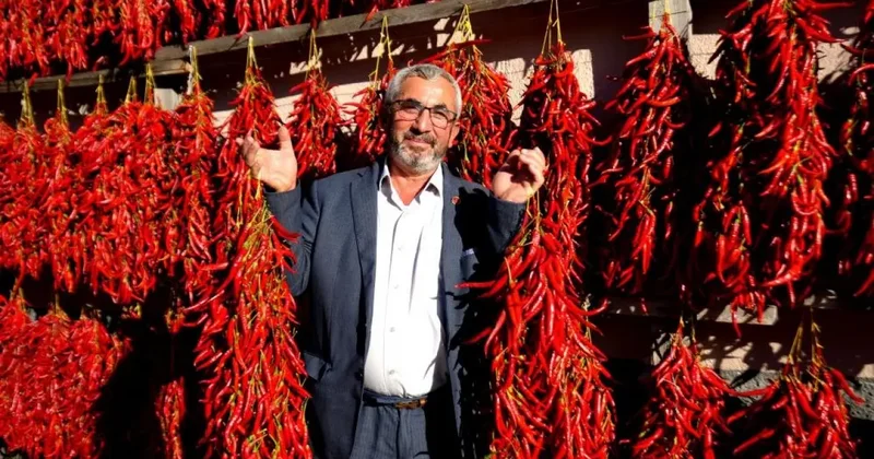 Hasat bitti, köy kırmızıya boyandı: Bu köyü görmek için tur düzenliyorlar!