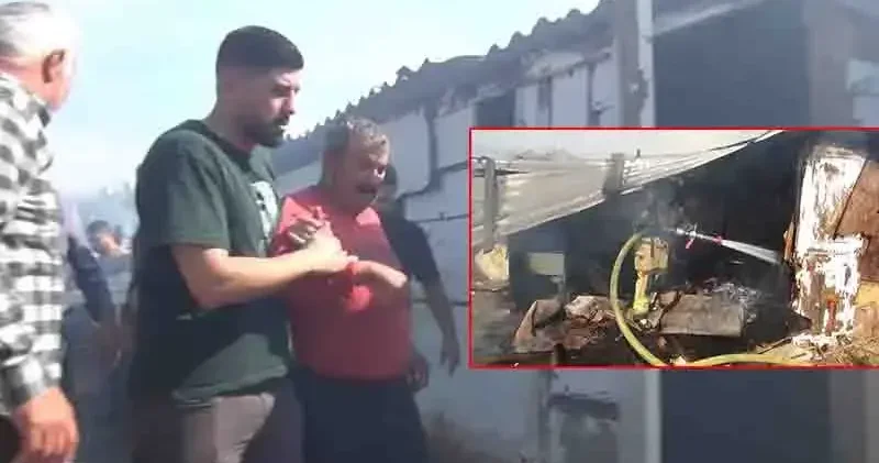 Silivri’de ahırda çıkan yangında hayvanları öldü; besici ve eşi hastaneye kaldırıldı