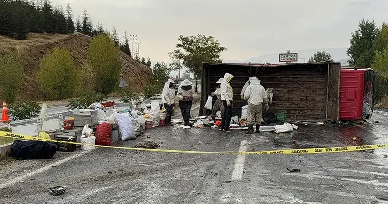 Bal ve arı kovanı yüklü kamyonet devrildi; 3 yaralı