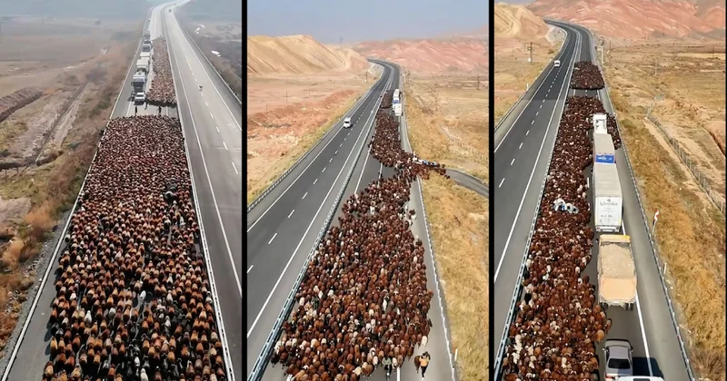 Burası Türkiye, iki şeritli yolu tamamen kapattılar: Dev sürünün görsel şöleni havadan görüntülendi Sözcü Gazetesi