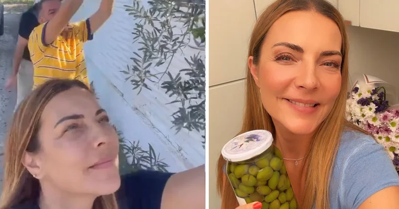 Burcu Kara köyünde zeytin hasadına başladı: Evde kendi kırma zeytinini yaptı Sözcü Gazetesi