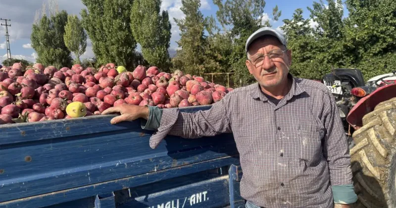 Üreticiler isyan etti! 5 TL den meyve suyuna gidiyor