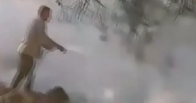 Alevleri görünce hiç düşünmedi: Orman yangınını sütle söndürdü fedakarlığıyla yürekleri ısıttı VİDEO İZLE