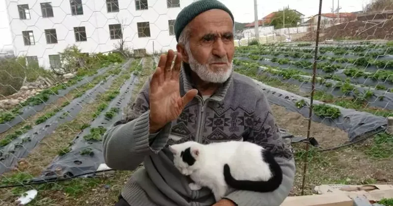 Hayır bahçesi kuran 85 yaşındaki İbrahim dede: Allah ın bana verdiği nimetleri paylaşmak istedim