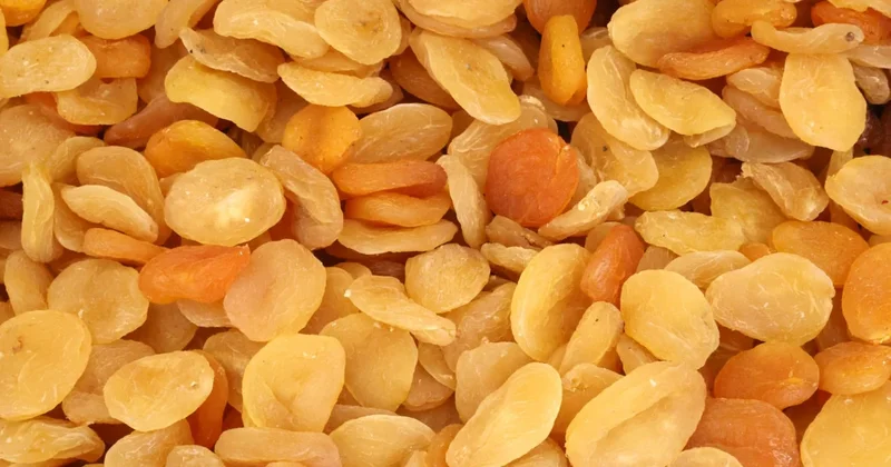 Bakanlık kayısı üreticilerini uyardı: Kesinlikle dikkat edin Sözcü Gazetesi