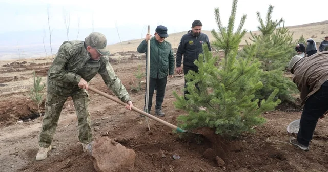 Şehit arkadaşlarının hatırasına 2 bin 400 rakımlı tepeye ağaç diktiler Erzurum Haberleri