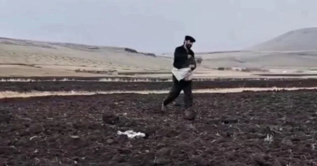 Kars ta güzlük ekim yapılıyor Kars Haberleri