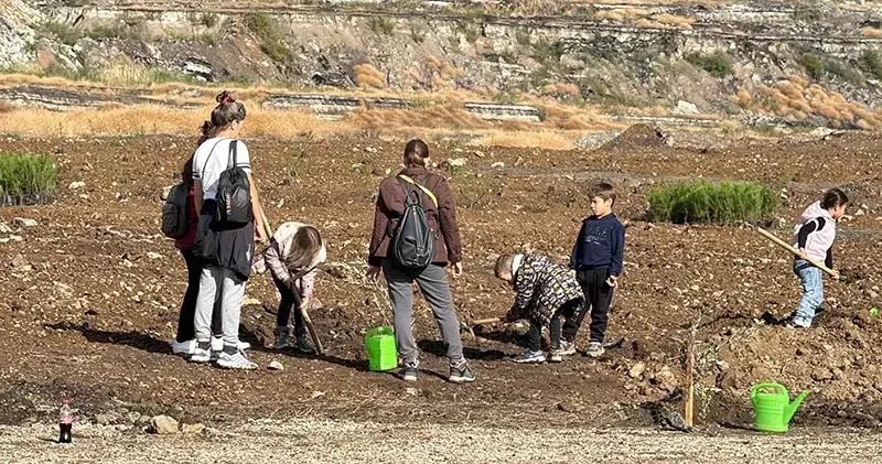Maden rehabilitasyon projesi kapsamında zeytin fidanları toprakla buluştu