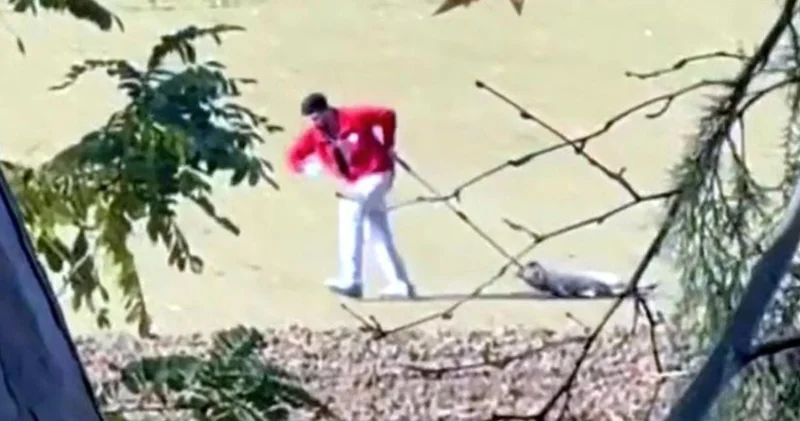 Köpeği sürükleyen belediye çalışanı gözaltına alındı