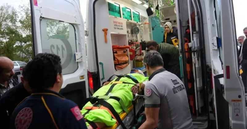 Mantar toplarken ayının saldırısına uğrayan imam yaralandı