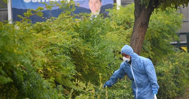 Osmangazi de kemirgenlere karşı ilaçlama çalışması başlatıldı Bursa Haberleri