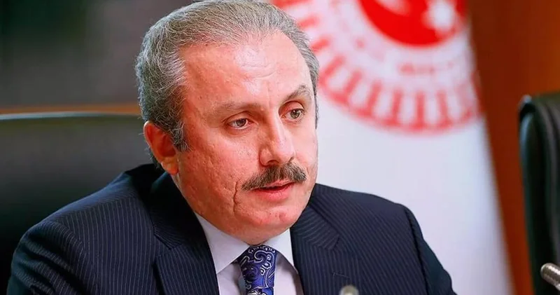 Mustafa Şentop teşhisi koydu: Gençlerin neden evlenemediğini açıkladı!