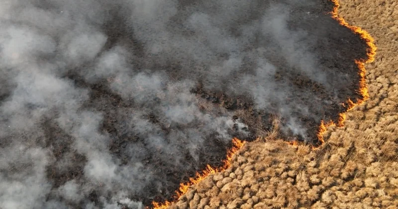 4 gündür devam ediyordu: Nehil Sazlığı yangını söndürüldü