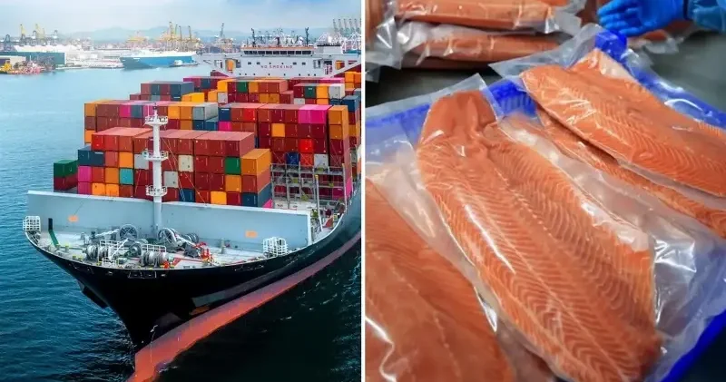 Doğu Karadeniz in 10 aylık Türk somonu ihracatı 152 milyon doları aştı Ekonomi Haberleri