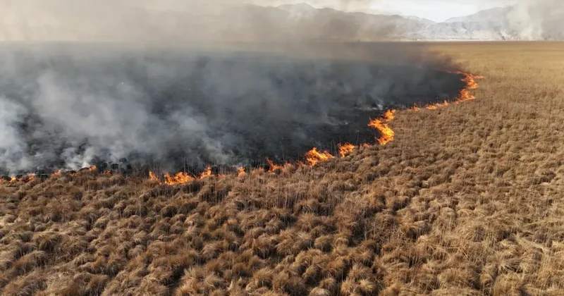 Nehil Sazlığı ndaki yangın 4 gün sonra söndürüldü