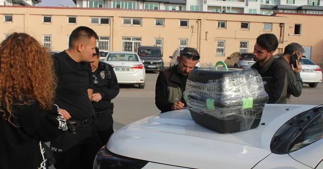 Nesli tehlike altındaki kara ayaklı gelinciği satmaya çalışırken yakalandı Aksaray Haberleri