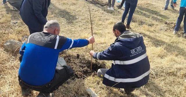Aras EDAŞ, Milli Ağaçlandırma Günü nde geleceğe nefes oldu Erzurum Haberleri