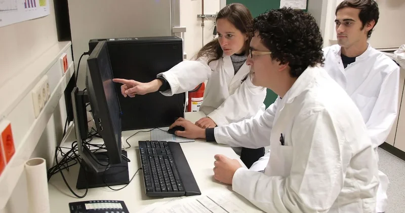 Ölümcül canlının kökünü kurutma kararı alındı Sözcü Gazetesi