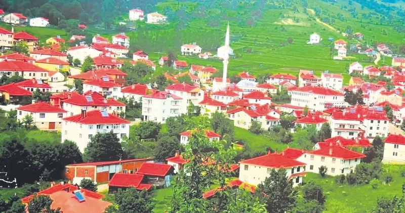 YAVUZ DONAT Huzur bahçesinden