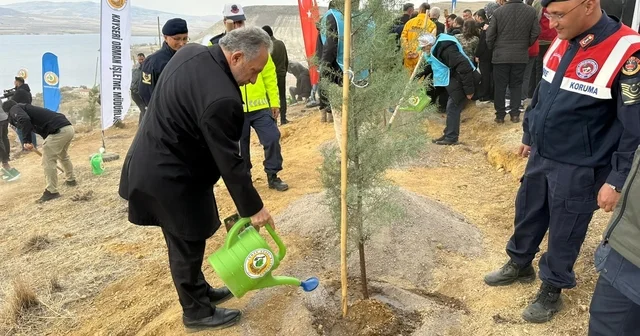 Ali Dağı nın zirvesine 1111 fidan Kayseri Haberleri