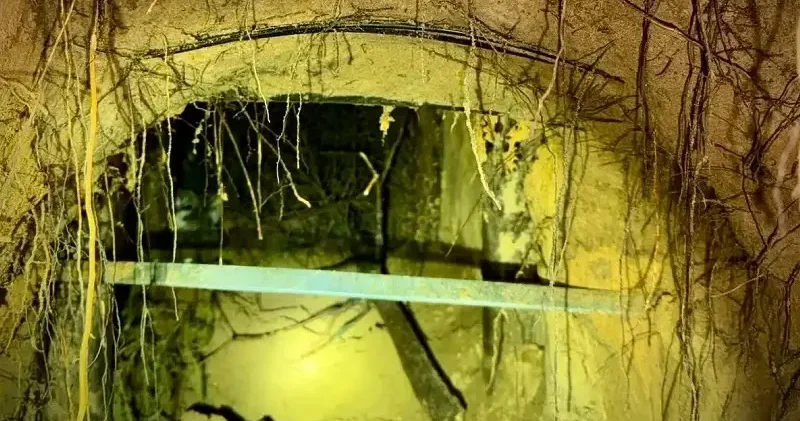 Belarus’ta 180 kaçak göçmen kazdıkları tünelle Polonya’ya geçti Dünya Haberleri