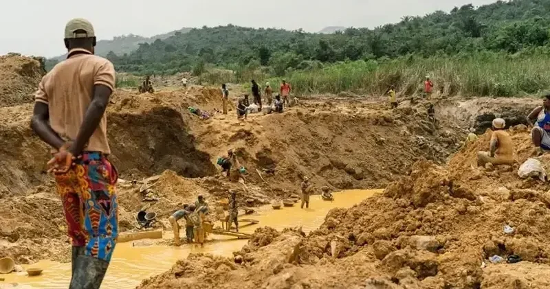 Gana, orman rezervlerinde madencilik faaliyetlerini tamamen yasakladı Dünya Haberleri