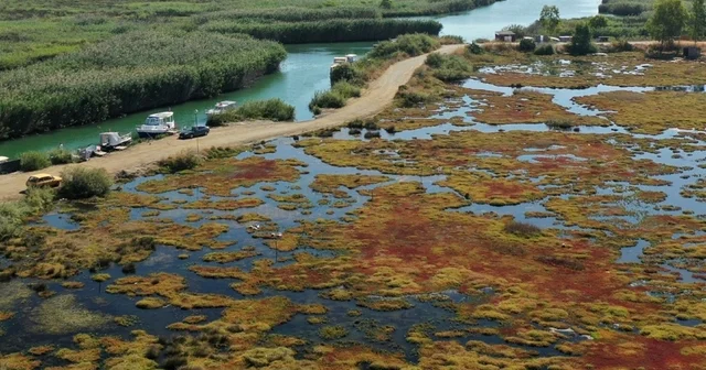 Gökçe Sulak alanı yeniden canlanıyor Muğla Haberleri