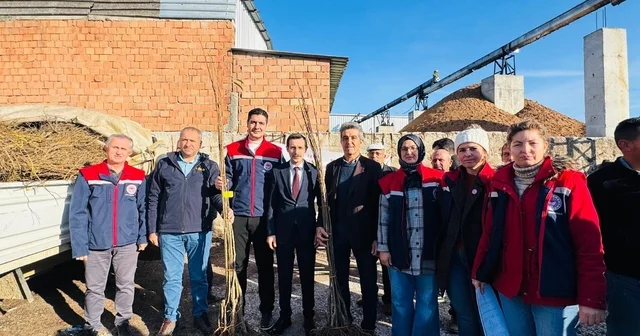 Bozdoğan da 8 bin 700 adet fidan dağıtıldı Aydın Haberleri