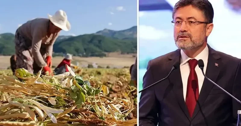 Çiftçilere 1 milyar 46 milyon lira tarımsal destekleme ödemesi bugün yapılacak Ekonomi Haberleri