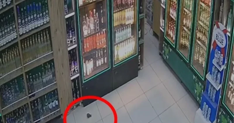 Diyarbakır da markete düzenlenen el bombalı saldırı kamerada