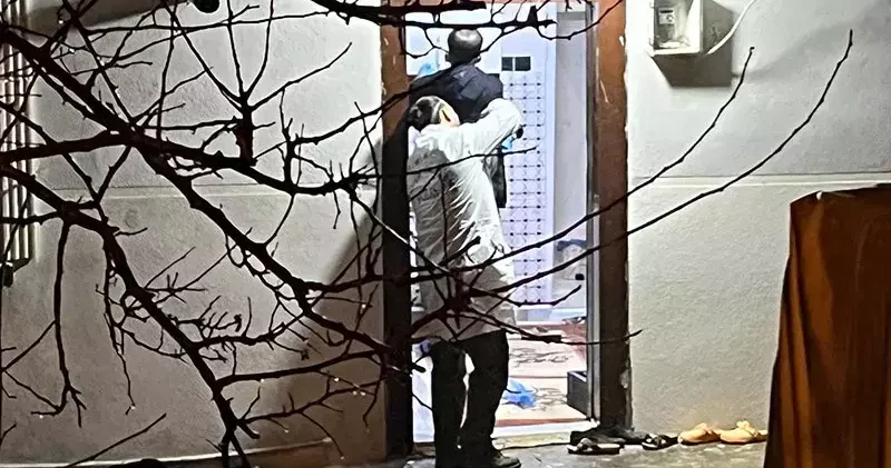 Eşini ve bacanağını tabancayla öldürdü