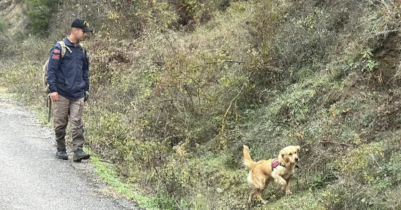 SON DAKİKA... Bartın da 78 yaşındaki Zehra Günay 2 gündür aranıyordu: Cansız bedeni bulundu!