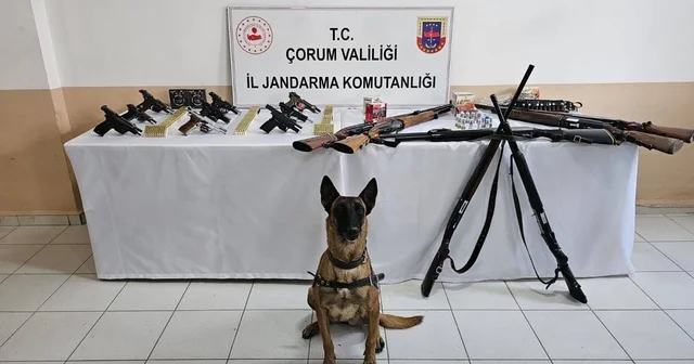 Çorum jandarmasından düğün magandaları na operasyon : 11 gözaltı Çorum Haberleri