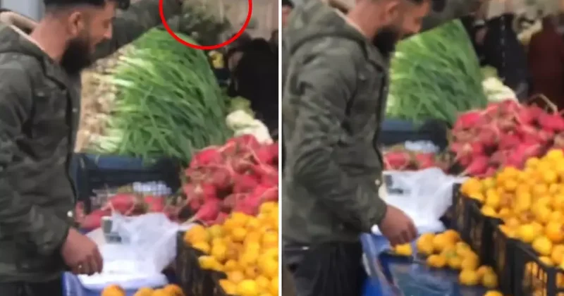 Limoncudan ağızları açık bırakan sahtekarlık