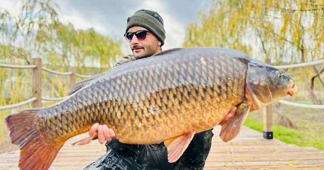 Yakaladıkları dev gibi sazan balığını suya geri bıraktılar Pelitozu Göleti nde yakalanan 21,5 kiloluk dev sazan Yakala Bırak yöntemiyle suya geri bırakıldı Kütahya Haberleri